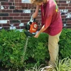 Business 2 image SPECIAL T LANDSCAPING Lawn Care & Garden Maintenance in Oklahoma City OK