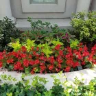 Business 3 image SPECIAL T LANDSCAPING Lawn Care & Garden Maintenance in Oklahoma City OK