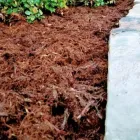 Business 5 image SPECIAL T LANDSCAPING Lawn Care & Garden Maintenance in Oklahoma City OK