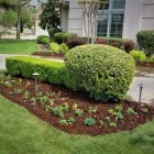 Business 6 image SPECIAL T LANDSCAPING Lawn Care & Garden Maintenance in Oklahoma City OK