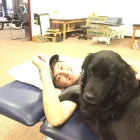 Business 8 image SPORTS CONDITIONING AND REHABILITATION (SCAR) vestibular therapy in Orange CA