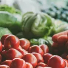 Business 4 image SPRAGUE PEST SOLUTIONS - BELLEVUE in Tukwila WA