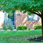Business 9 image SPRING-GREEN LAWN CARE in St. Louis MO