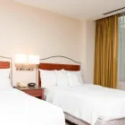 Business 18 image SPRINGHILL SUITES BY MARRIOTT CHICAGO O'HARE Travel & Tourism in Chicago IL