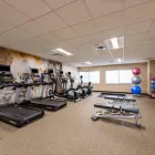 Business 1 image SPRINGHILL SUITES BY MARRIOTT HOUSTON MEDICAL CENTER/NRG PARK in Houston TX