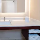 Business 9 image SPRINGHILL SUITES BY MARRIOTT HOUSTON MEDICAL CENTER/NRG PARK in Houston TX