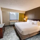 Business 18 image SPRINGHILL SUITES BY MARRIOTT HOUSTON MEDICAL CENTER/NRG PARK in Houston TX