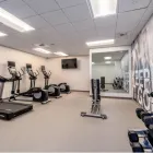 Business 1 image SPRINGHILL SUITES BY MARRIOTT OAKLAND AIRPORT Marriott Hotels & Resorts in Oakland CA