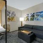 Business 18 image SPRINGHILL SUITES BY MARRIOTT ST. PAUL ARDEN HILLS Hotel in Arden Hills MN