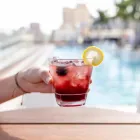 Business 5 image SPRUZZO Tapas Restaurants in West Palm Beach FL
