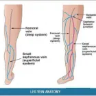 Business 6 image ST LOUIS LASER VEIN CENTER in St. Louis MO