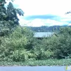 Business 1 image STACY'S NORTHWEST PRESSURE SERVICE Deck Cleaning & Treatment in Mercer Island WA