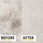Business 4 image STANLEY STEEMER ?? SAN FRANCISCO Cleaning Services in San Francisco CA