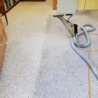 Business 2 image STANLEY STEEMER ?? SAN JOSE Cleaning Services in San Jose CA