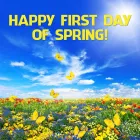 Business 9 image STANLEY STEEMER Damage Restoration Service in Auburn WA