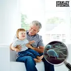 Business 66 image STANLEY STEEMER Damage Restoration Service in Auburn WA