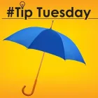 Business 36 image STANLEY STEEMER Fire & Water Damage Restoration in Livonia MI