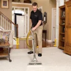 Business 69 image STANLEY STEEMER Fire & Water Damage Restoration in Livonia MI