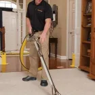 Business 58 image STANLEY STEEMER Floor & Tile Cleaning in Corona NY