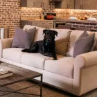 Business 6 image STASH HOME Home Furniture in Kirkwood MO
