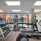 Business 34 image STAYBRIDGE SUITES SAN ANTONIO DOWNTOWN CONV CTR, AN IHG HOTEL Business & Conference Centers in San Antonio TX