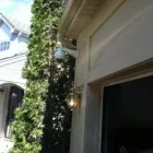 Business 3 image STEALTH SECURITY & HOME THEATRE SYSTEMS, INC Security System Supplier in Chicago IL