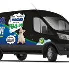 Business 5 image STEAMY CONCEPTS Mold Testing & Removal in Tucson AZ