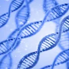 Business 3 image STEM CELL PROFESSIONALS Alternative & Holistic Health Service in York PA