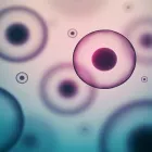 Business 4 image STEM CELL PROFESSIONALS Alternative & Holistic Health Service in York PA