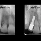 Business 1 image STONE OAK DENTAL in San Antonio TX