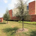 Business 3 image STOR SELF STORAGE Self-Storage Facility in Dfw TX