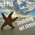 Business 35 image STRETCH PDX LLC Massage in Portland OR