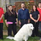 Business 2 image STRYKER PEST CONTROL LLC Pest Control Services in Columbus OH
