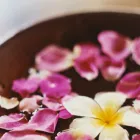 Business 3 image STUDIO 2000 SALON & DAY SPA Skin Care in Indianapolis IN