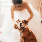 Business 5 image STUDIO A PHOTOGRAPHY Wedding Photographer in Sacramento CA