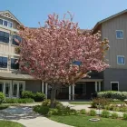 Business 19 image SUNRISE OF OAKLAND HILLS Senior Living in Oakland CA