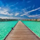 Business 1 image SUPERIOR CRUISE & TRAVEL SACRAMENTO Travel Agency in Sacramento CA