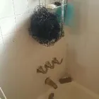 Business 19 image SUPERIOR PLUMBING SERVICE Septic Tank Cleaning & Repair in Orange CA