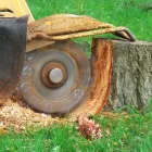 Business 2 image SUPERIOR TREE SERVICE SD in San Diego CA