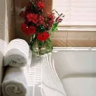 Business 35 image SUPERMAIDS, INC & CARPET CARE Carpet & Upholstery Cleaning in Richardson TX