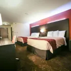 Business 14 image SURESTAY PLUS HOTEL BY BEST WESTERN EVANSVILLE SureStay in Evansville IN