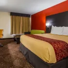 Business 25 image SURESTAY PLUS HOTEL BY BEST WESTERN EVANSVILLE SureStay in Evansville IN