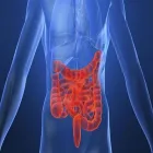 Business 2 image SURGERY GROUP OF LOS ANGELES Physicians & Surgeons in Los Angeles CA