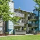 Business 1 image SURREY DOWNS APARTMENTS Apartment Rentals in Bellevue WA