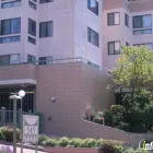 Business 1 image SUSAN RILEY DESIGN Graphic Designers in Albany CA