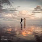 Business 3 image SUSAN STRIPLING PHOTOGRAPHY Wedding Photography in Brooklyn NY