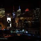 Business 8 image SUSAN STRIPLING PHOTOGRAPHY Wedding Photography in Brooklyn NY