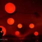 Business 9 image SUSAN STRIPLING PHOTOGRAPHY Wedding Photography in Brooklyn NY