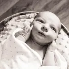 Business 1 image SWEET CAROLINA PHOTOGRAPHY in Brooklyn NY