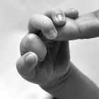 Business 5 image SWEET CAROLINA PHOTOGRAPHY in Brooklyn NY